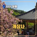 개심사입구 주차장 | 힐링 가득한 충남 서산 개심사🌿 꼭 가봐야 할 이유 6가지