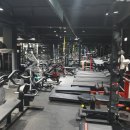 라이즈업 피티짐 이미지