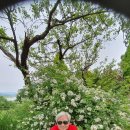 실버농장 이미지