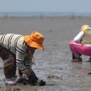 남해-206 이미지