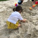 휘닉스 평창 콘도미니엄 이미지