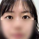 구포점 현대자동차 | 마이미미브로우 | 부산 대연동 부경대 근처 올인원 속눈썹 펌 솔직 후기! (가격, 시술 후 사후처리 등)