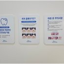 위키즈주니어치과의원 이미지