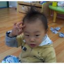 도담다