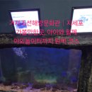 지세포해안로 | [거제도 나들이] 거제조선해양문화관 후기｜지세포 가볼만한곳, 아이와 함께 야외놀이터까지 완벽 코스
