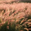 낙동강체육공원 자전거대여소 화장실 이미지