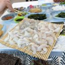 돌고래횟집 | 고성 현지인 맛집 오션뷰 자연산 활어회 🐬 돌고래횟집 솔직후기