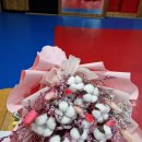 강호체육관(태권도) 이미지