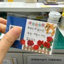 금와약국 | [국디서#3] 2주차 근무일기 / 국디서 후기