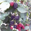 사철슈퍼 이미지