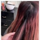 여성 헤어 커트 이미지