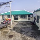 춘자민박 이미지