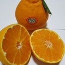 온새미영농조합법인 이미지