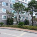 모전1길 네이버블로그