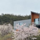 강원도 양양 가족여행 숙소 더앤리조트 디럭스패밀리트윈 객실 가든온 스파온 조식 후기