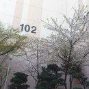 신동아아파트(102동앞) 이미지