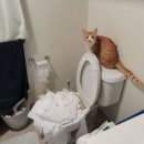 홍문외과의원 이미지