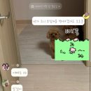 NR-3[동일로]-하-87 | 가을이 오면 🎶