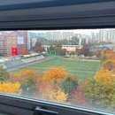 강남효요양병원 | "봉천동 193병상·투석 장비" 강남효요양병원, 사당·서울대입구 사이 선택