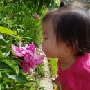 광탄농장 이미지