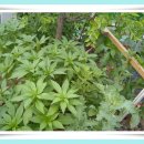 한규 농장 이미지