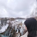 홋카이도 | 3월 홋카이도랩 비에이 투어 후기❄️ 여자 혼자 다녀온 솔직 후기 (+가이드 찐감동)