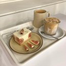 디노엘(de Noel) 이미지