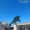 행정사 사무소 고래 이미지