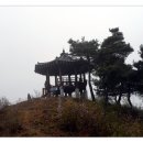 양촌자연휴양림 이미지