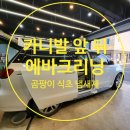 경주 에바크리닝 카니발 앞,뒤 에어컨 악취 냄새제거 제대로 보여드립니다.