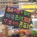 광장54호 이미지