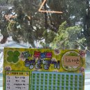 행운뽑기샵 이미지