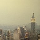 세븐일레븐 강릉곶감점 이미지