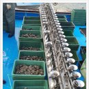 완도화목식품 이미지