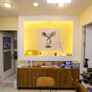 기계동물병원 이미지