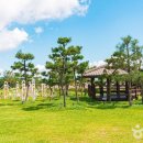 무안황토갯벌랜드 매점 이미지