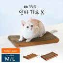 냥스