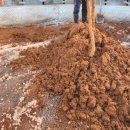 황토한증막 이미지