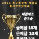 타이탄 새천년태권도 이미지