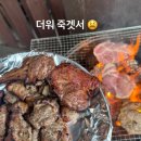 어서오시개냥 애견펜션 이미지