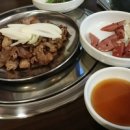 코코돈