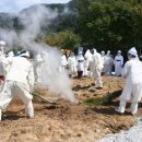 평창 방림삼베민속 이미지