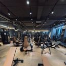 머슬포스짐 이미지