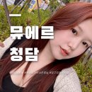 압구정 미용실 여름에 어울리는 오렌지 브라운 염색 후기 뮤에르 청담 압구정 염색 잘 하는 곳