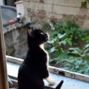 분당데이지동물병원 이미지