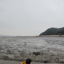 종현농어촌체험휴양마을 이미지