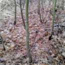 내외로R 이미지