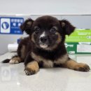 남해군남면보건지소 이미지