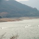 동강당구장 - 양산시 북안북1길 10-19 | 동강당구장