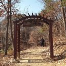 횡성 호수길 5구간 이미지